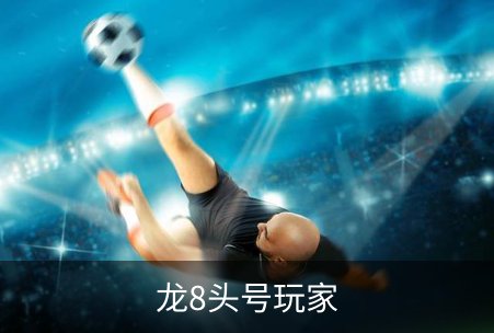 龙8头号玩家概况